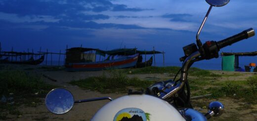 India - planuri pe mai departe