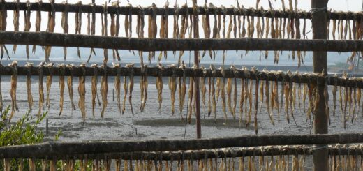 India Dahanu sat pescaresc peste uscat