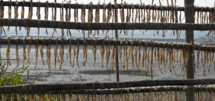 India Dahanu sat pescaresc peste uscat