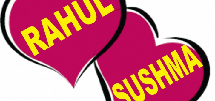 Rahul and Sushma indian wedding