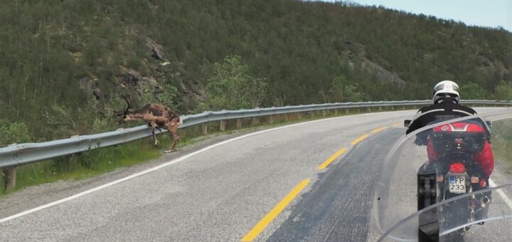 Poza reni prioritate Nordkapp - dusi.ro